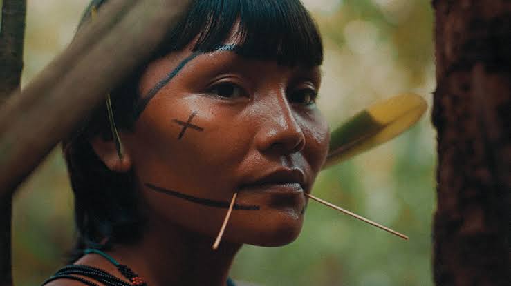 diário de uma paola sem twitter, parte&nbsp;2